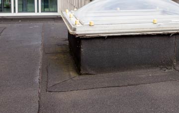 disadvantages of Hansel Village flat roofs