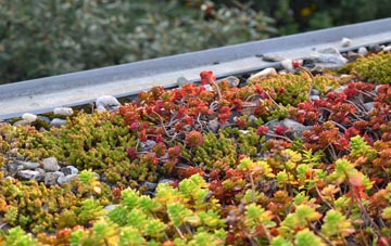 the cost of Hansel Village green roof installation