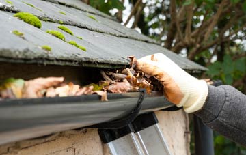 gutter cleaning Hansel Village, South Ayrshire