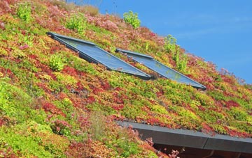 Hansel Village living roof systems